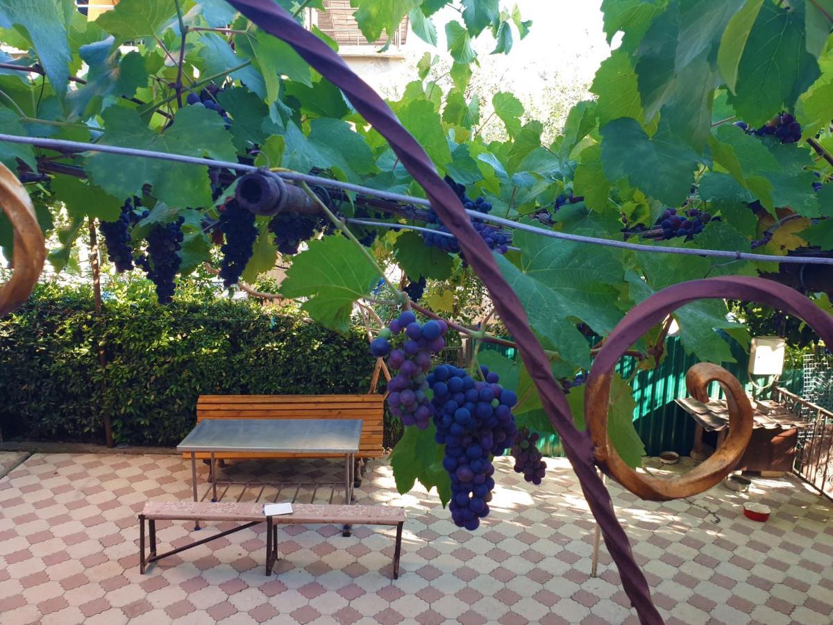 Guest House Lykhny Gagra Bagian luar foto