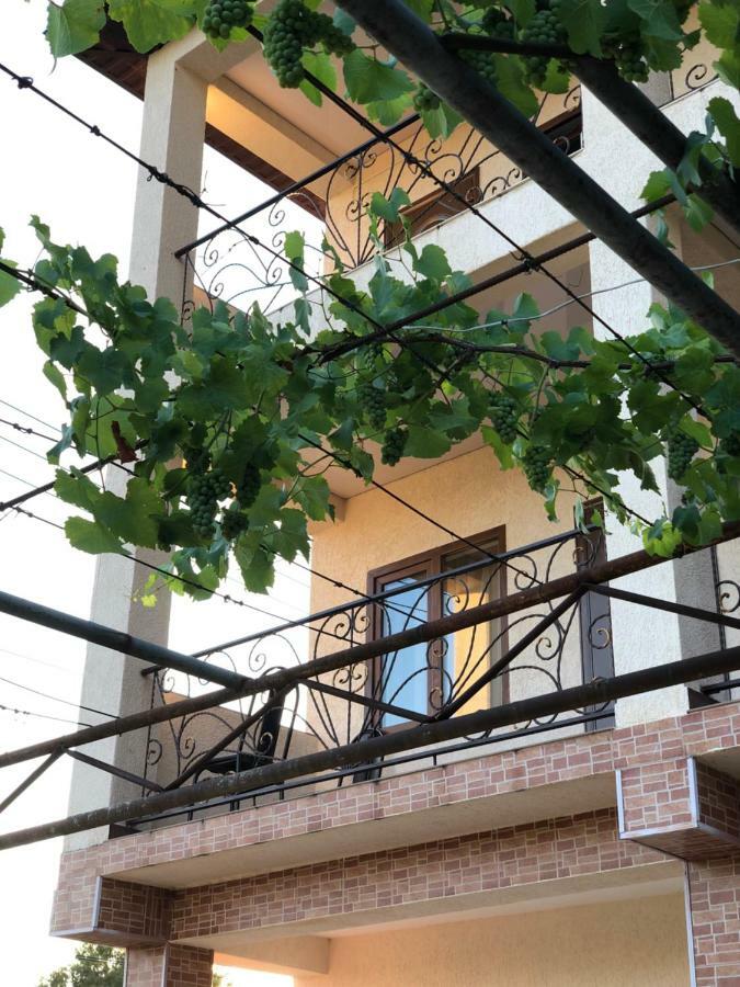 Guest House Lykhny Gagra Bagian luar foto